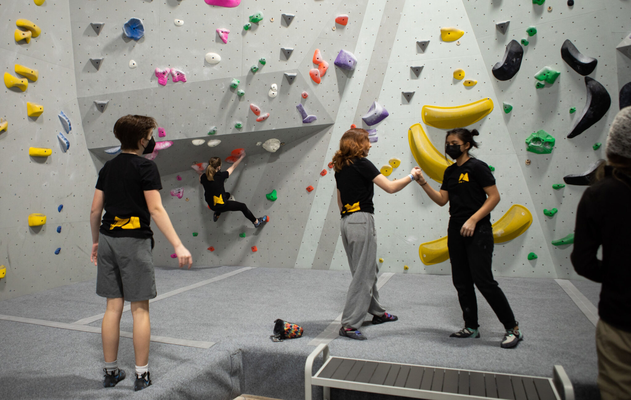Climbing, Yoga & Fitness Programs Iron City Boulders